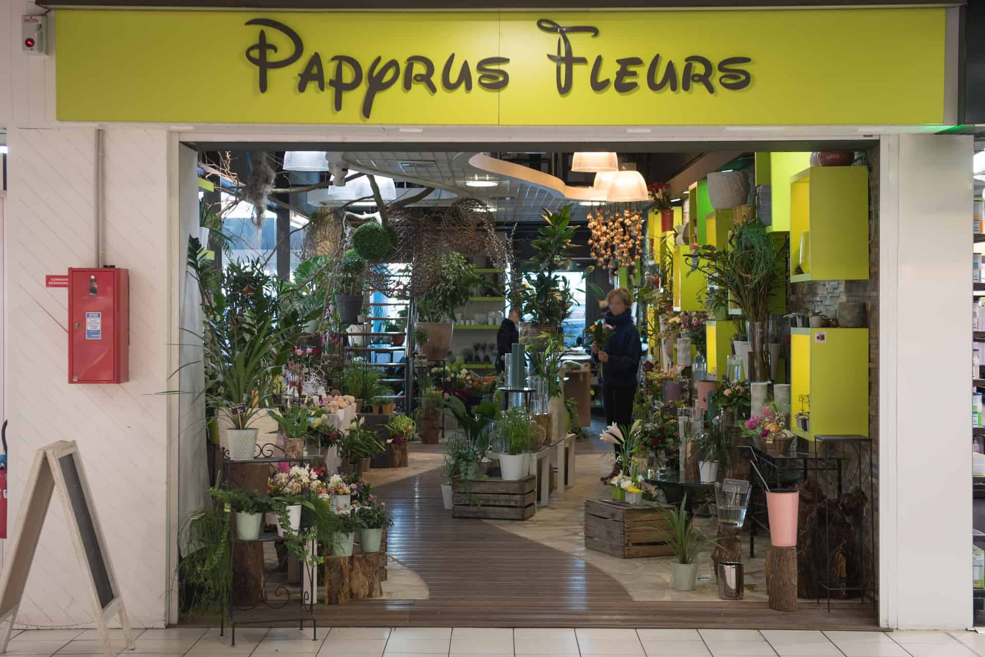 Papyrus Fleurs - Fleuriste